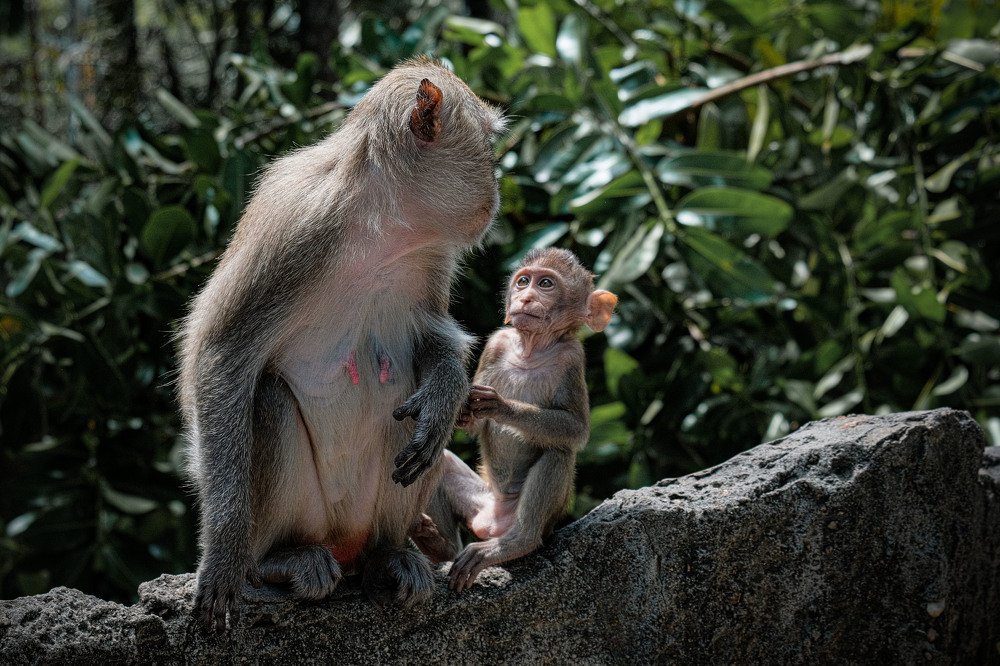 Photograph by Семенов Борис