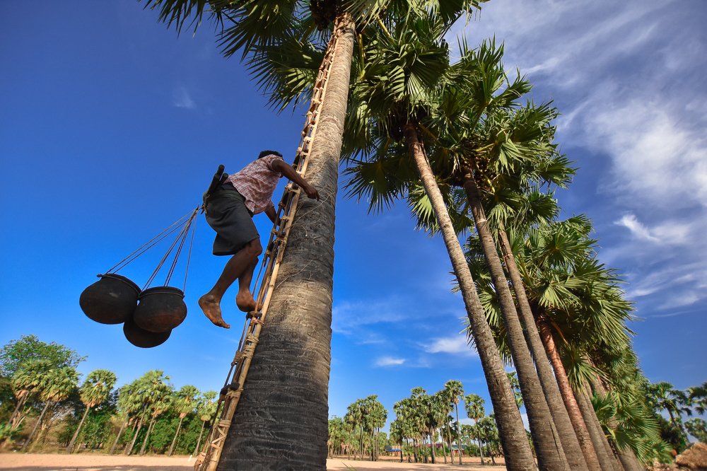 Фотография автора Thiha Myo