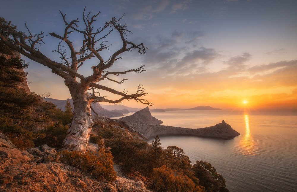 Крымский рассвет