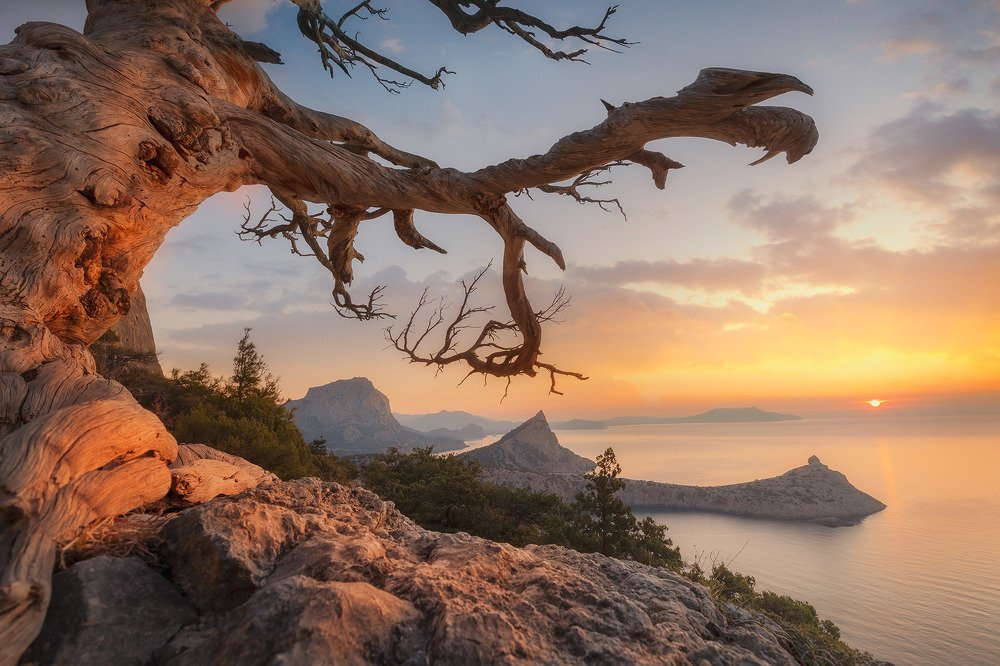 Photograph by Александр Костенко