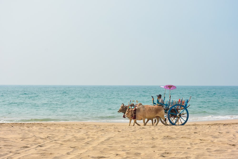 The Beach and The Beauty