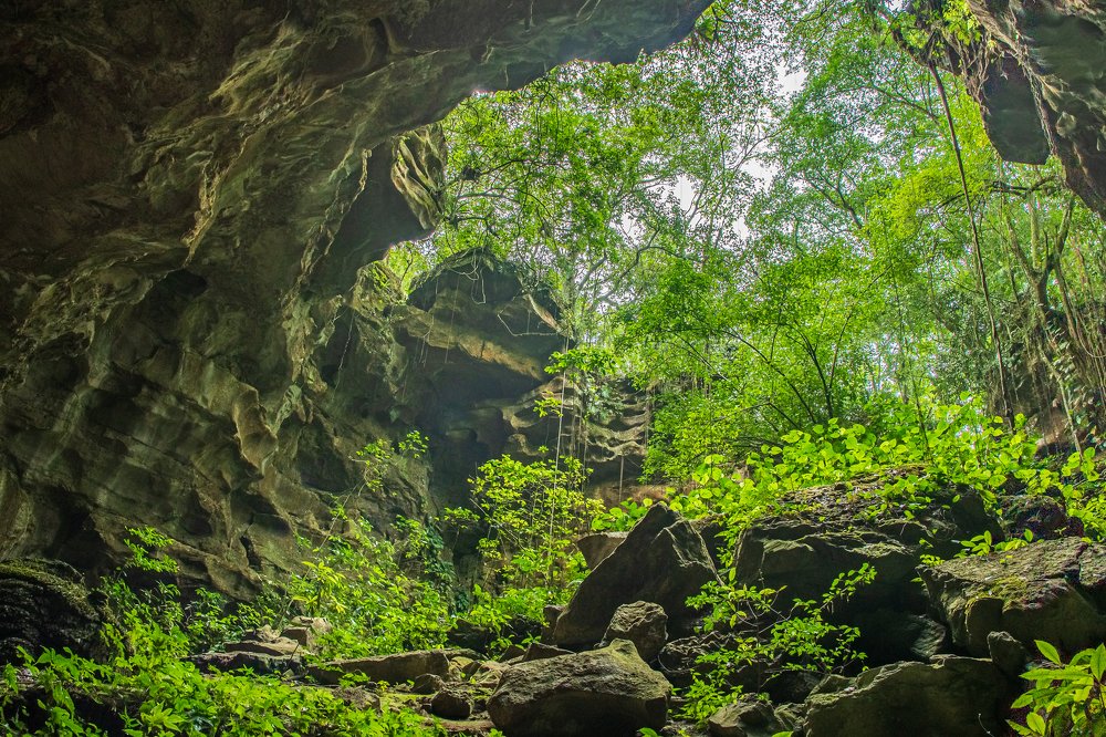 Photograph by Omar Rosette