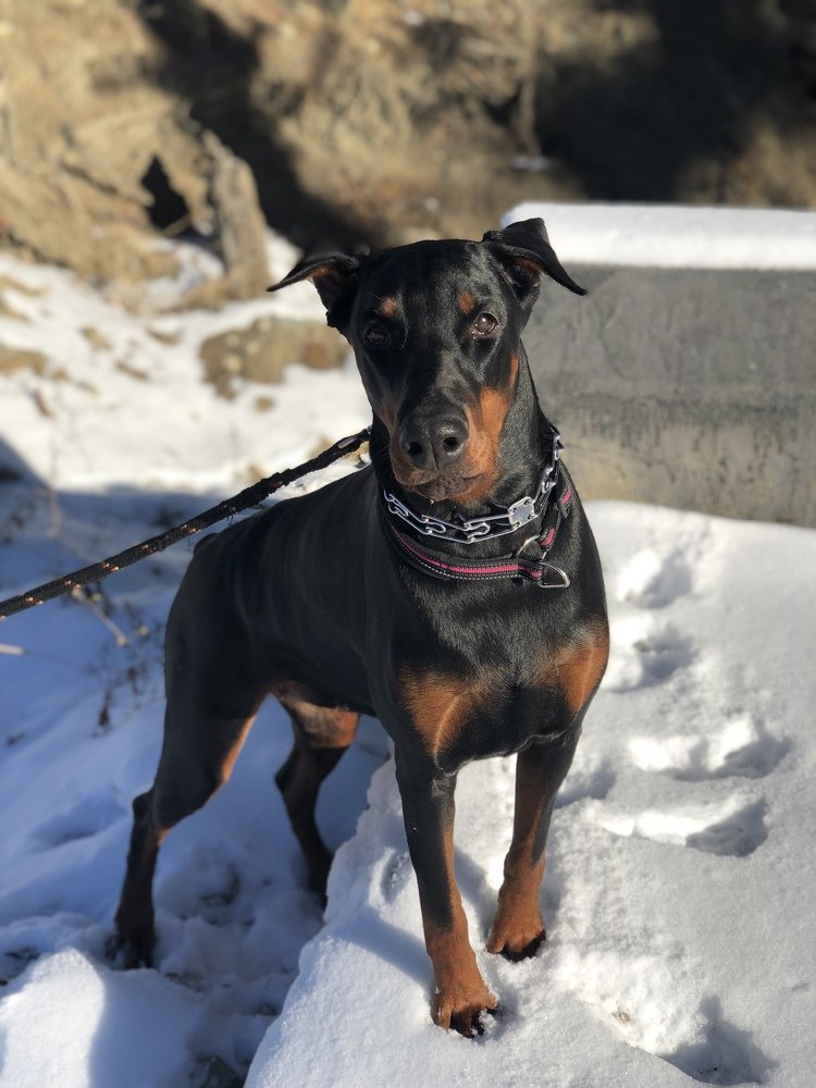 Photograph by Надежда