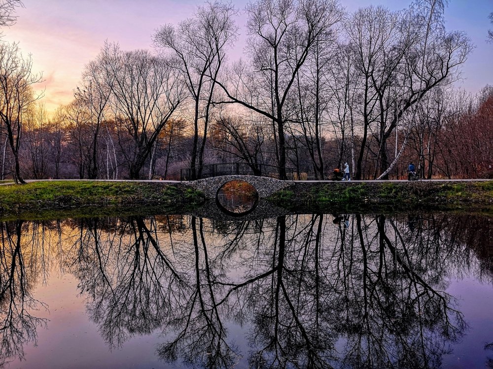 Ноябрьские тени...