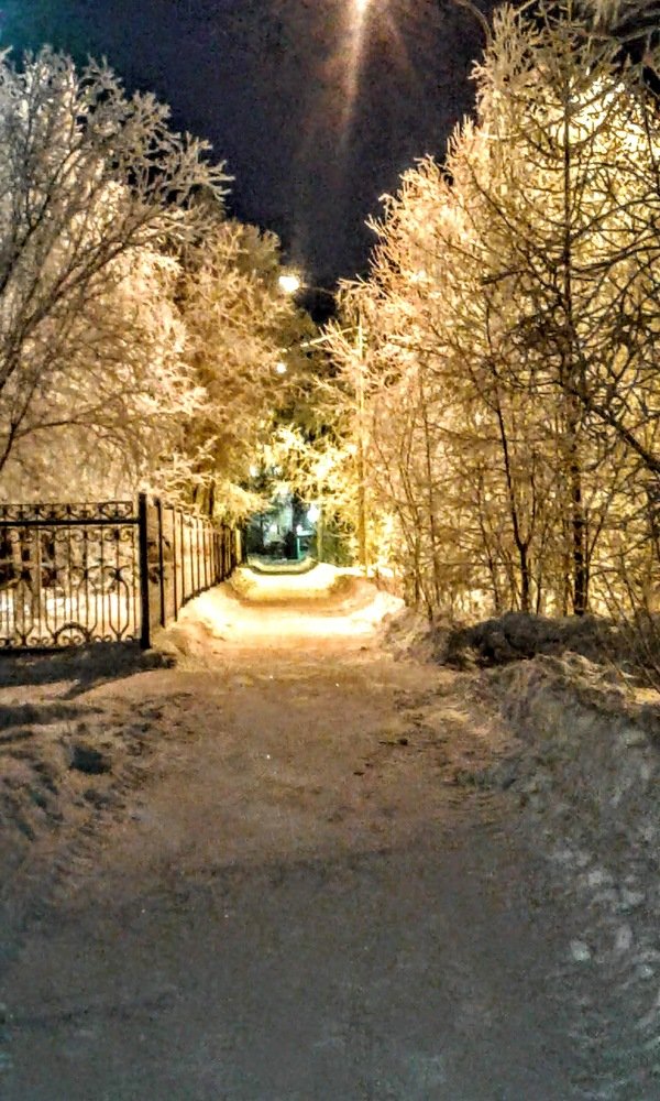 Дорога в сказку