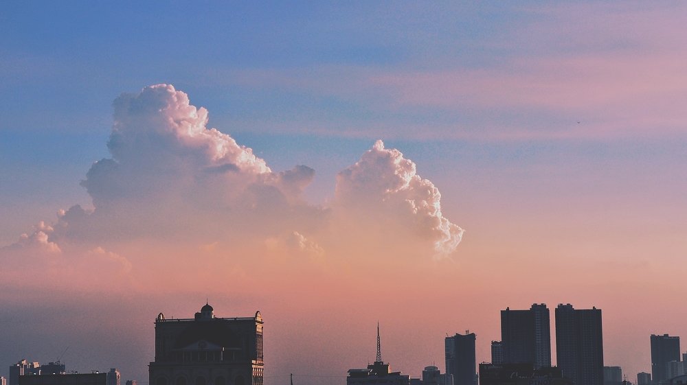 The life above and below