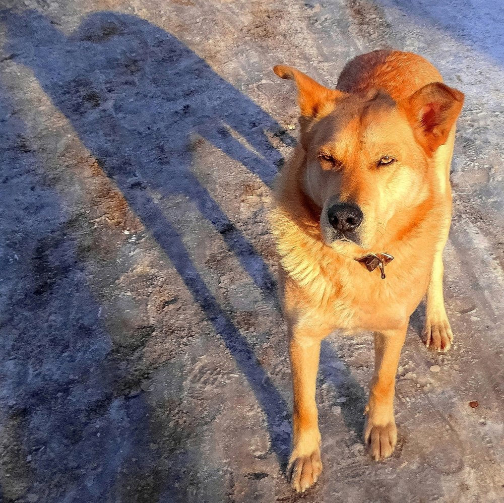 Тень на закате...