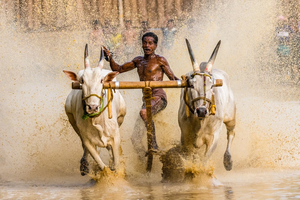 Photograph by Sanoop Sidharthan