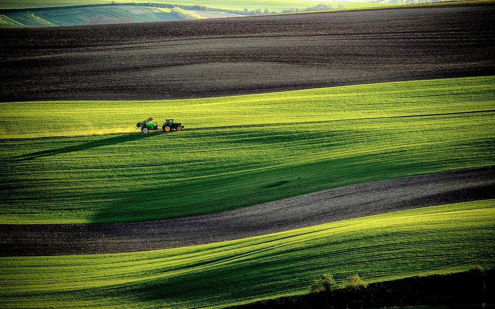 Morning Landscape with Tractor
