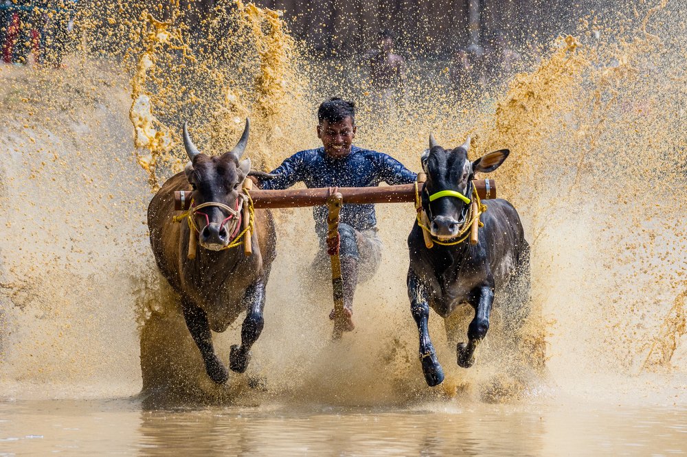 Photograph by Sanoop Sidharthan