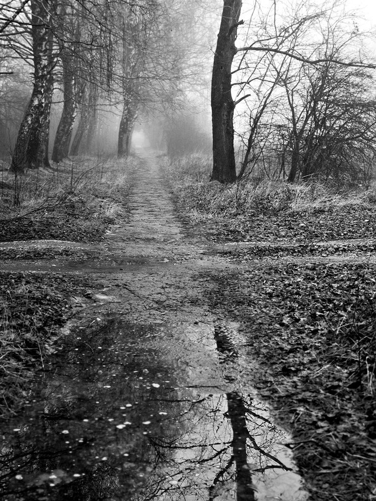 Photograph by Степанов Евгений