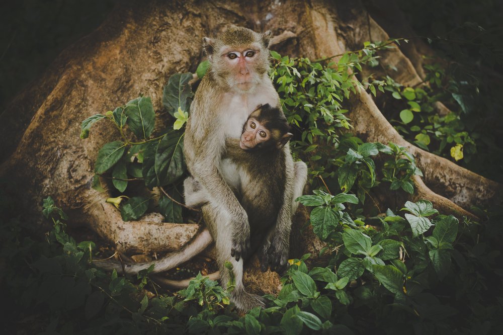 Фотография автора Екатерина Григорьева