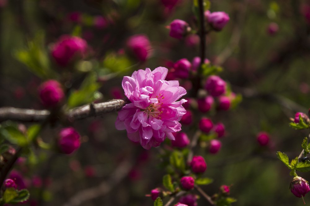 Photograph by Татьяна