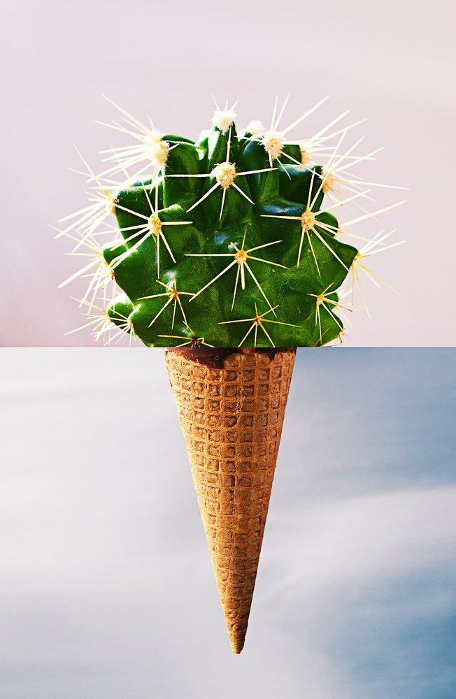 Photograph by Алексей Степаненко