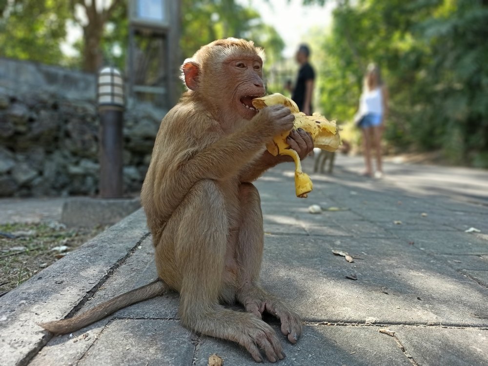 Photograph by Ильдус Шаруков