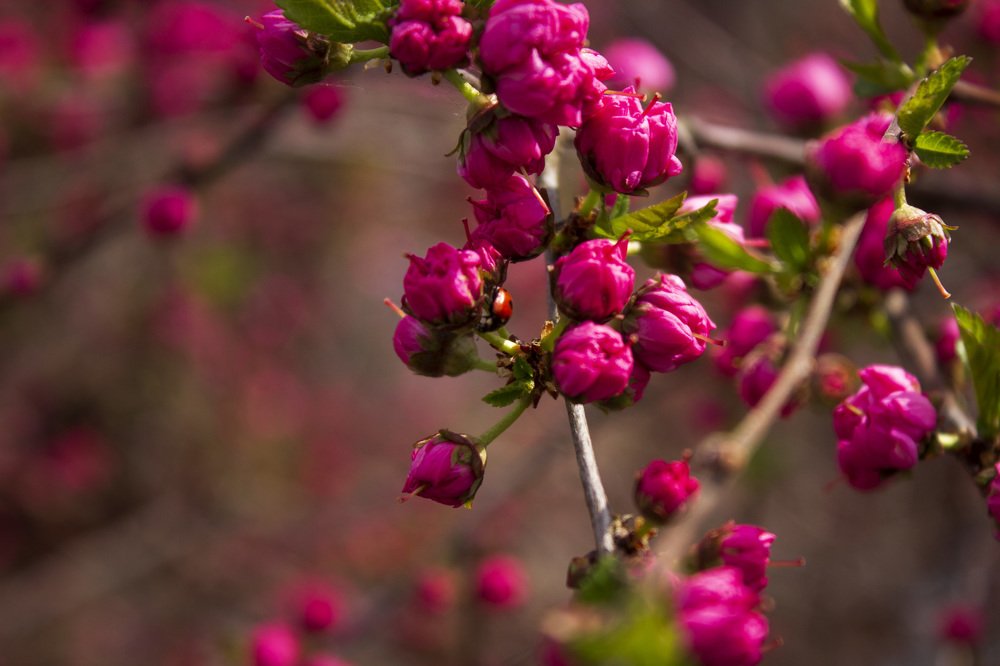 Photograph by Татьяна