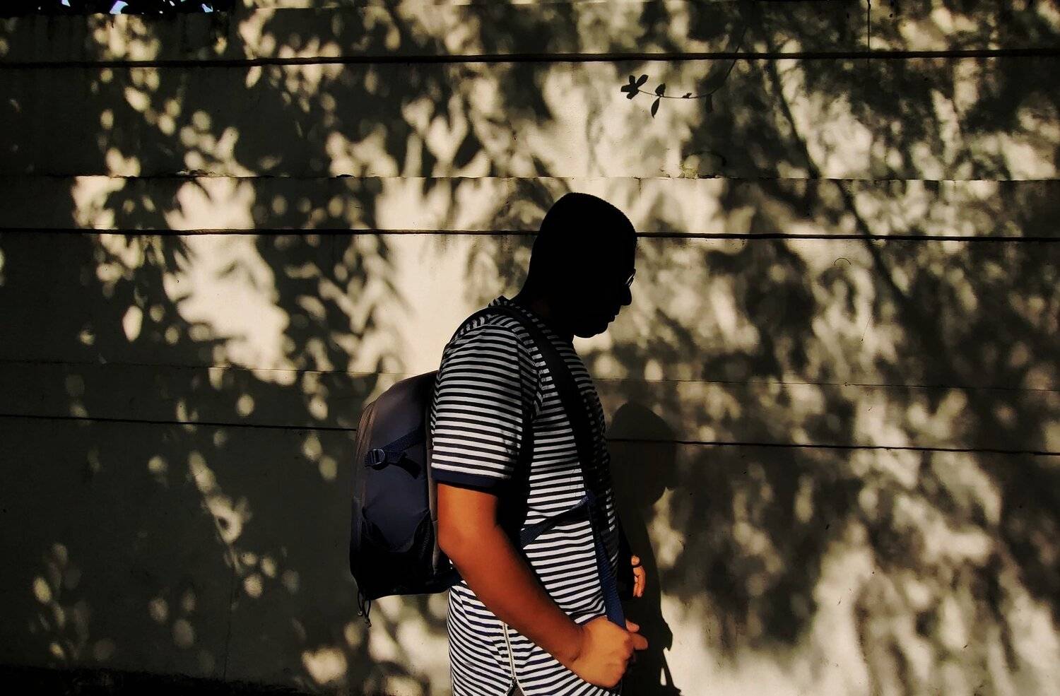 Photo #4238901