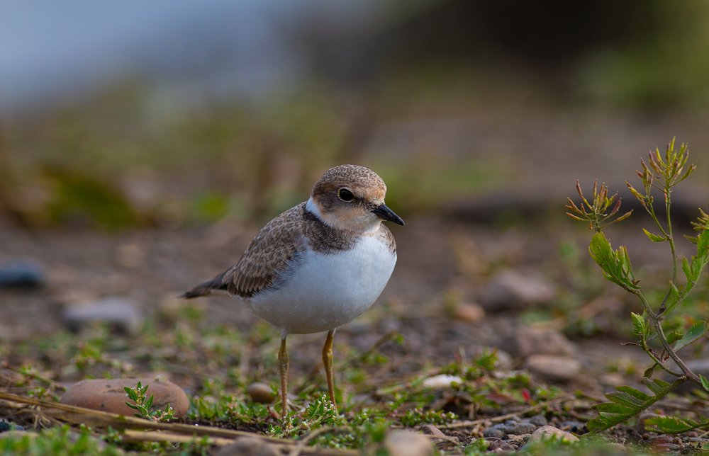 Photograph by Денис Литвиненко