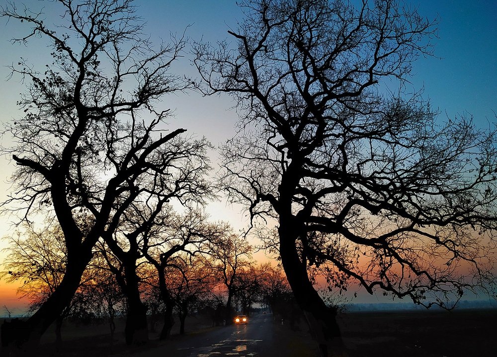 Photograph by Айдын Мехтиев