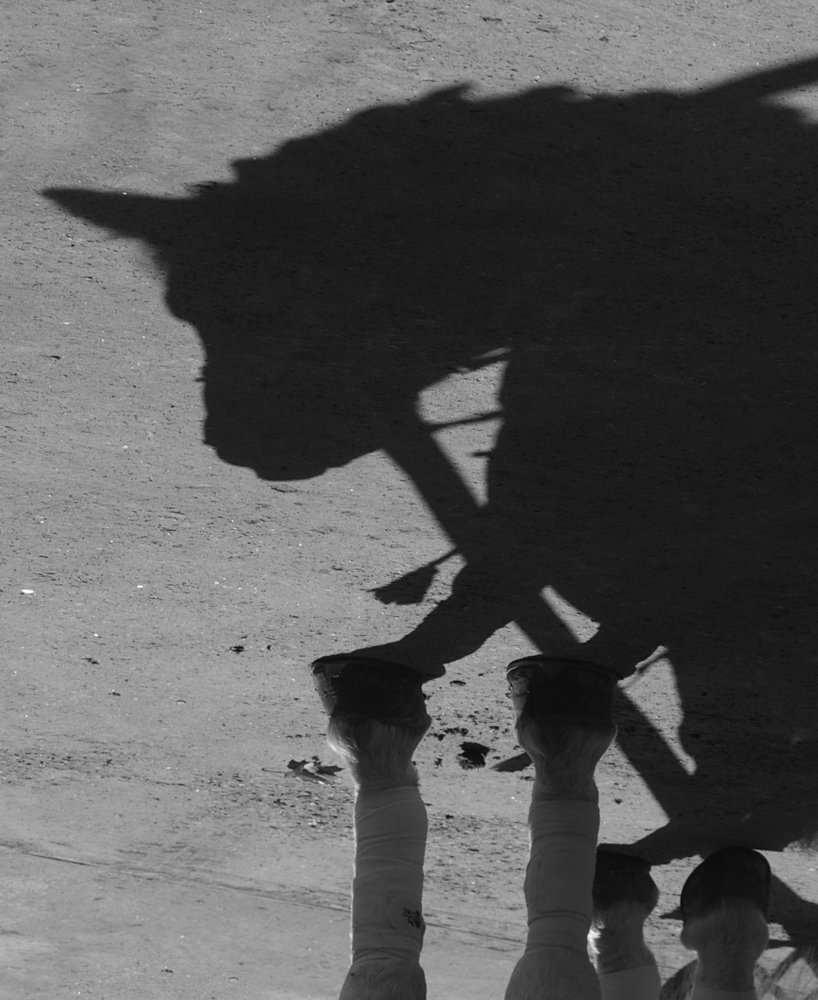 Photograph by Vitaly  Podgurchenko