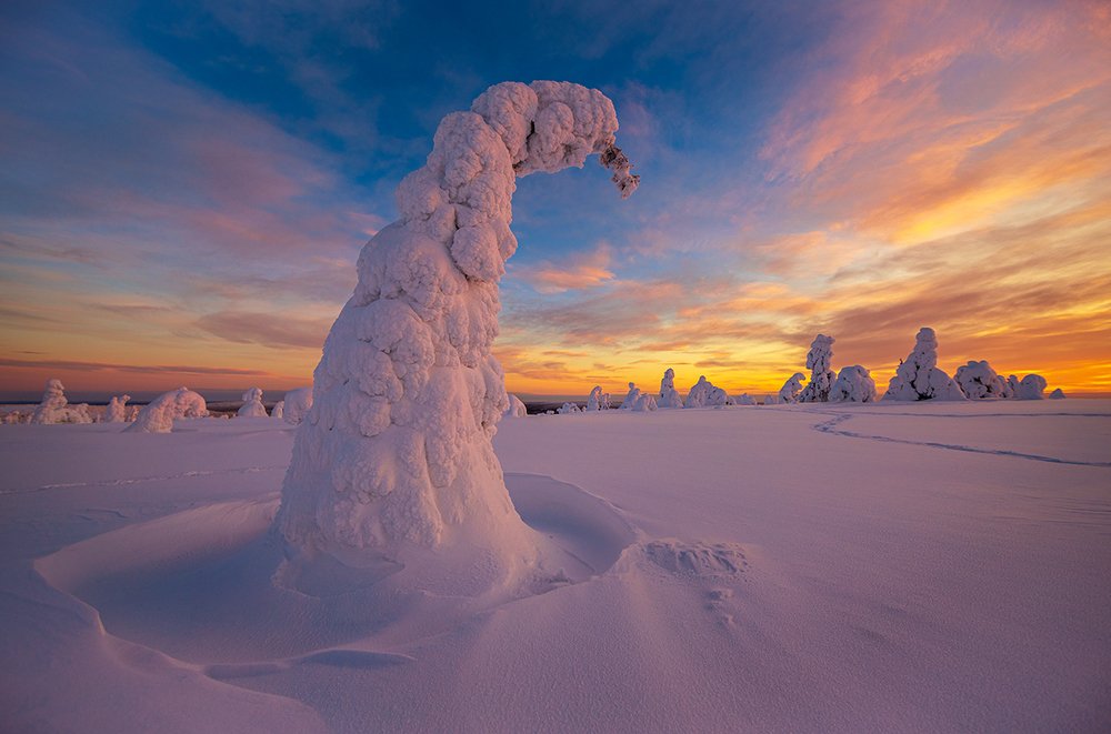Поклон морозному дню.