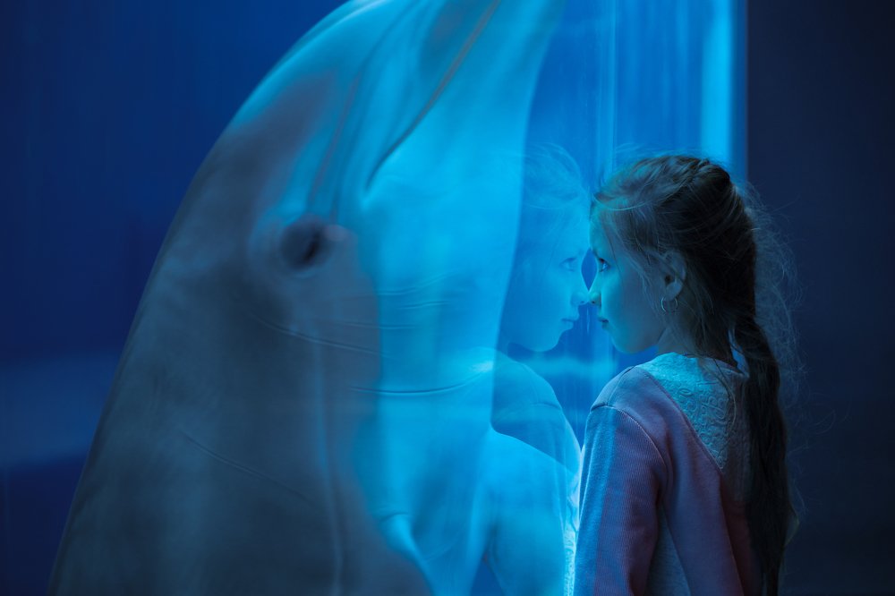 Дельфин Ауроры