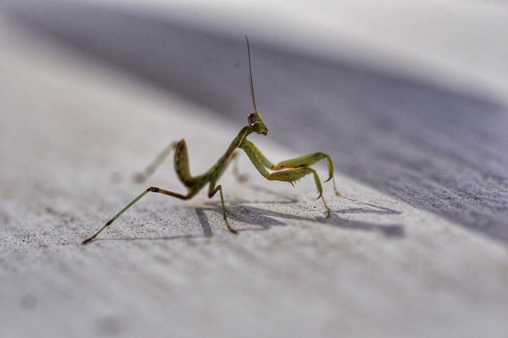 Photograph by Мария Путинцева