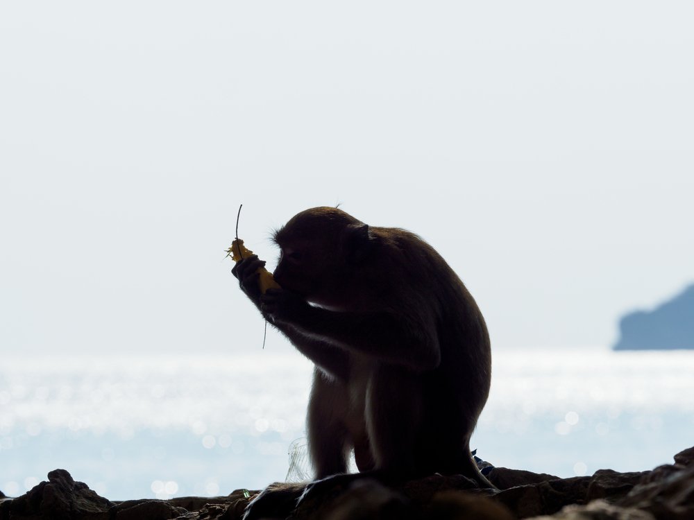 Photograph by Андрей Лисовский