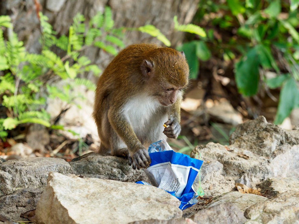 Photograph by Андрей Лисовский