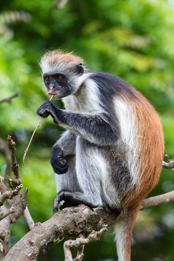 Photograph by Светозар Кръстев