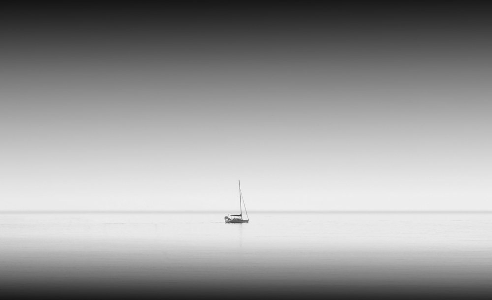 Photograph by alireza yazdani