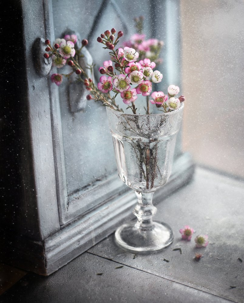 Photograph by Svoboda Andreeva