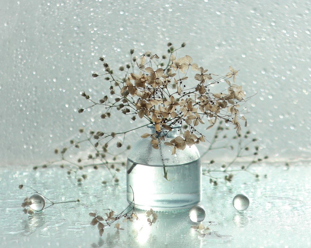 Зимняя сказка