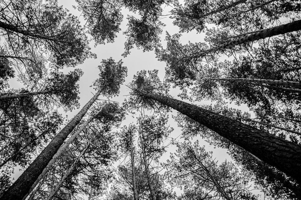 Photograph by Юлия Миронова