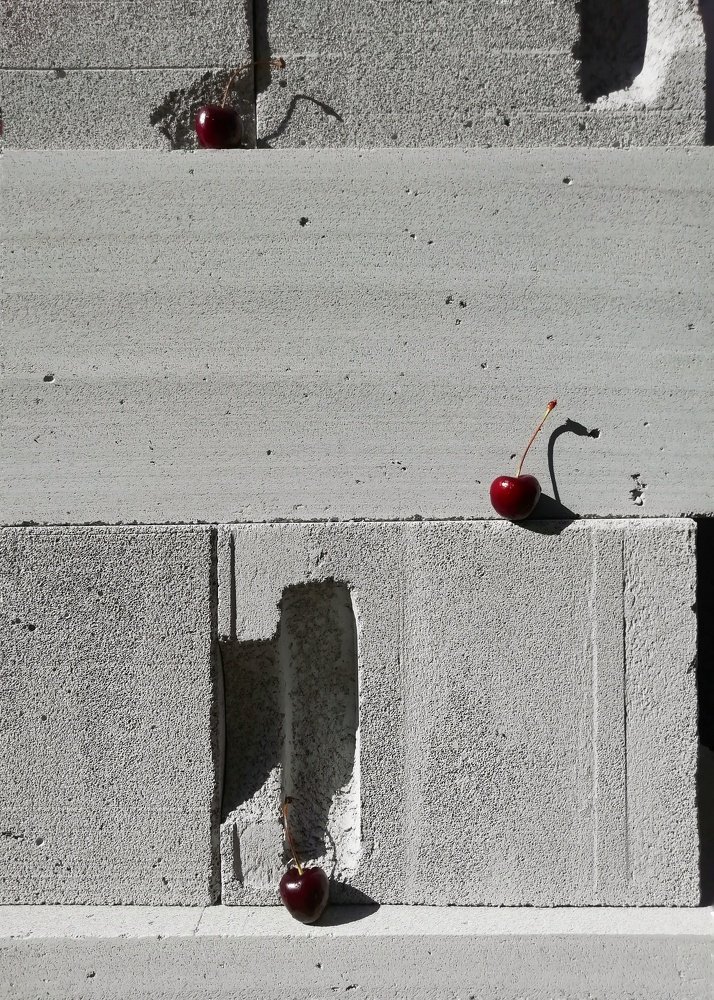 Photo #4239314
