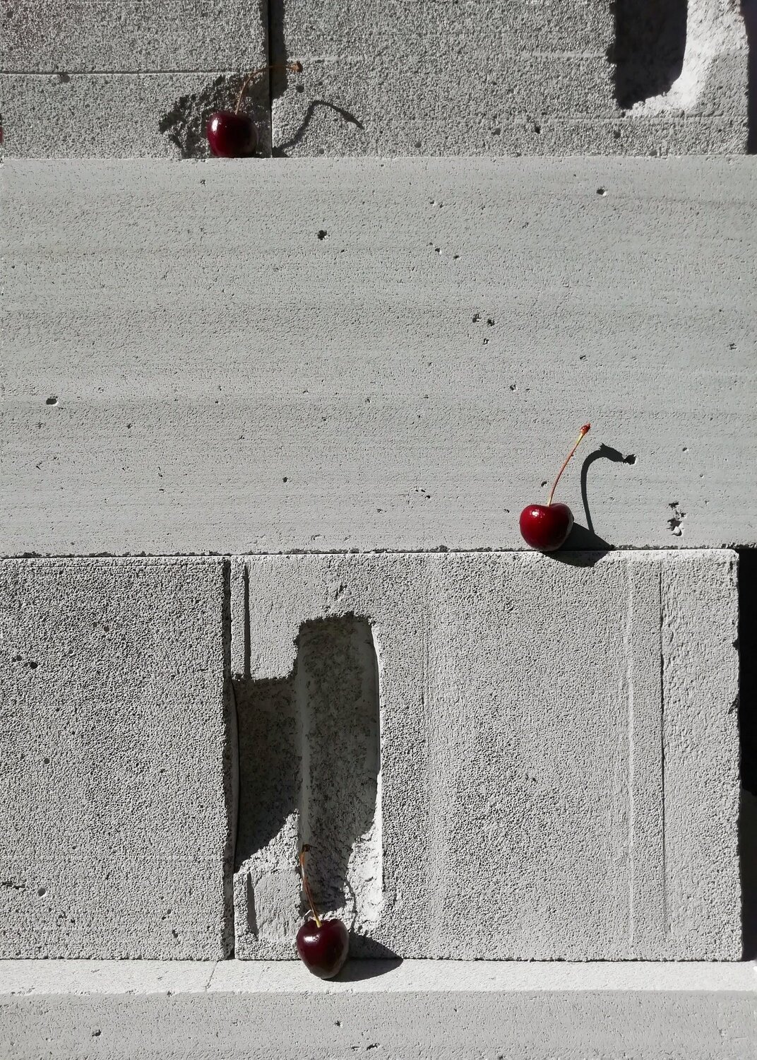 Photo #4239314