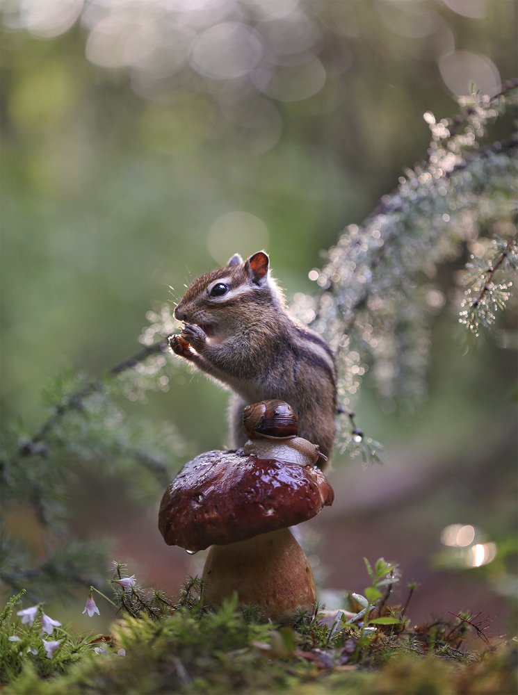 Извини....подвинься!