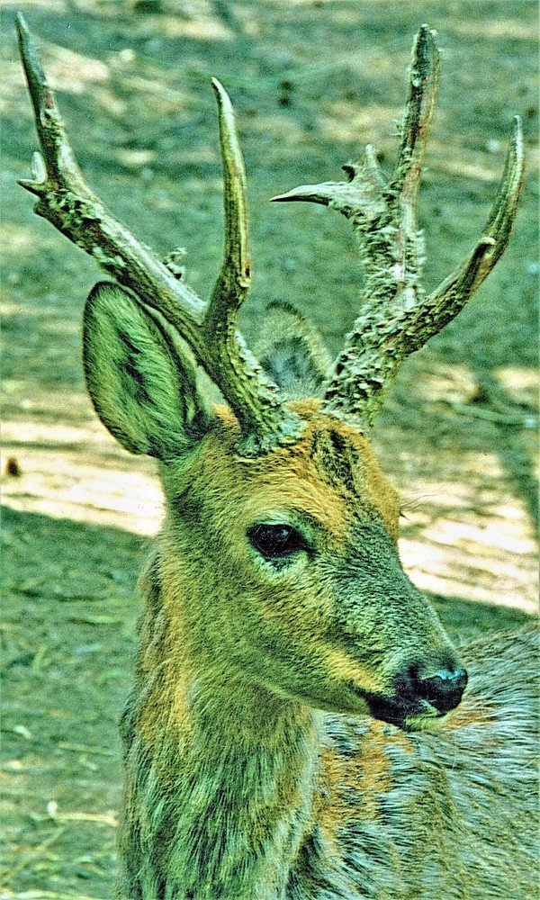 Photograph by Сергей Часовских