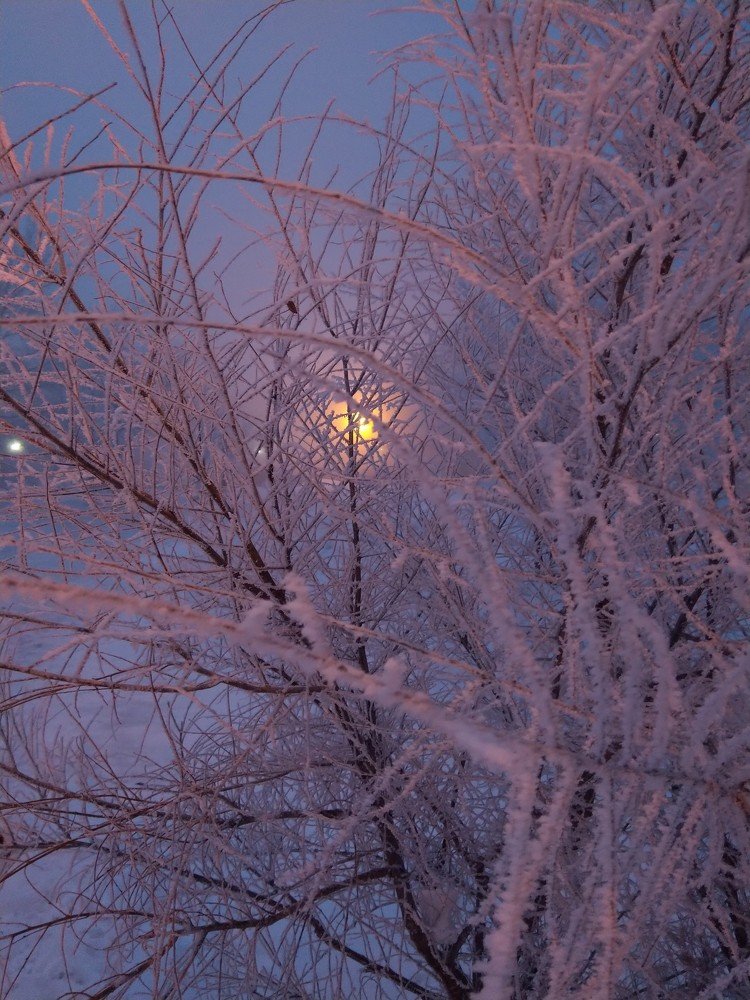 Photograph by Алла