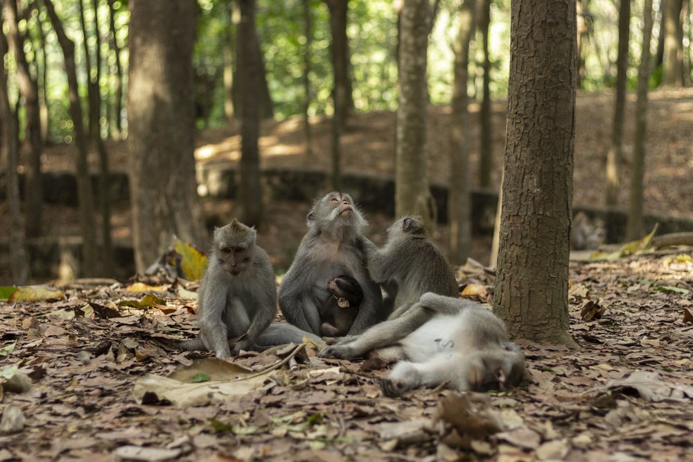 В кругу семьи