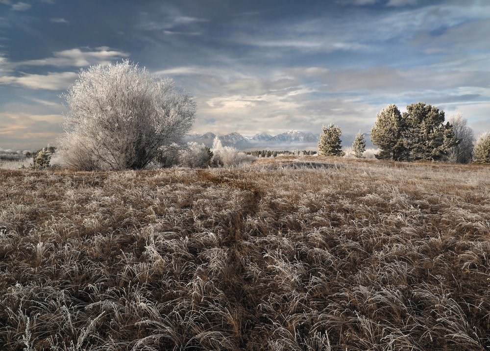 Тропинка в горы