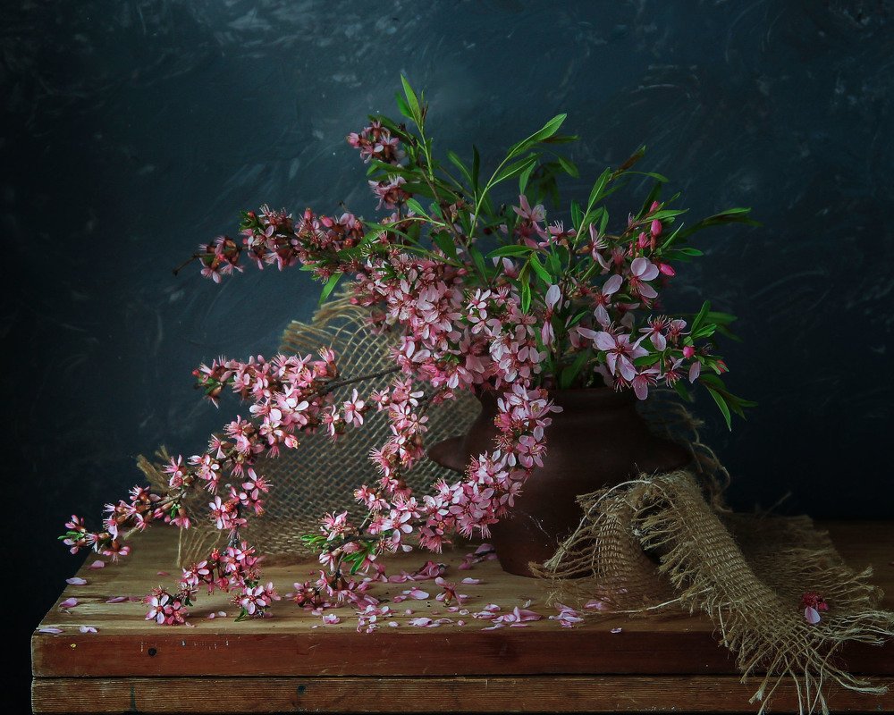 Фотография автора тамара шмакова