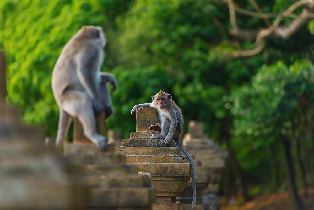 Photograph by Oleg Feofanov