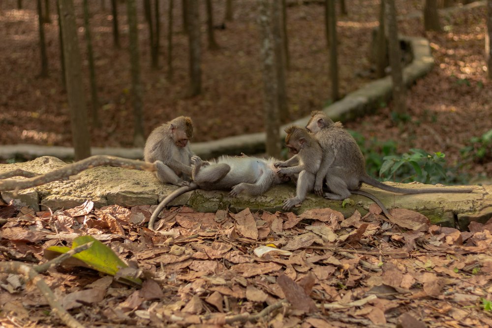 Photograph by Татьяна Тимофеева