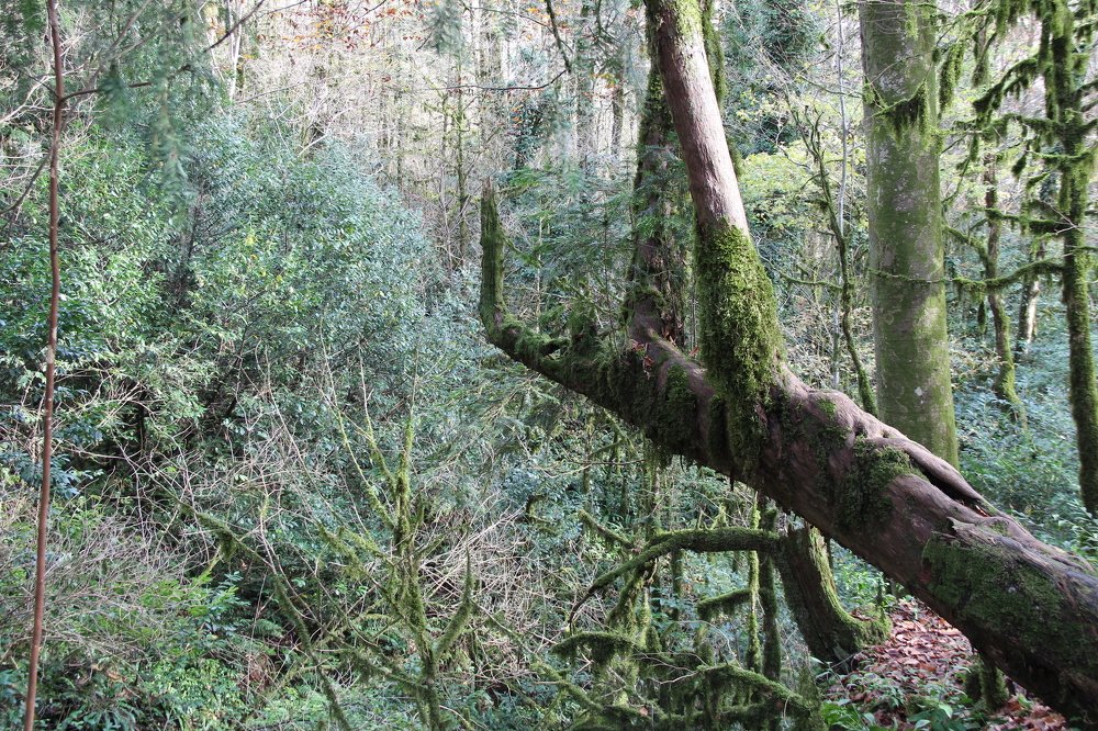 Photograph by Наталия Языкова