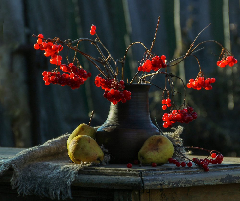 Фотография автора тамара шмакова