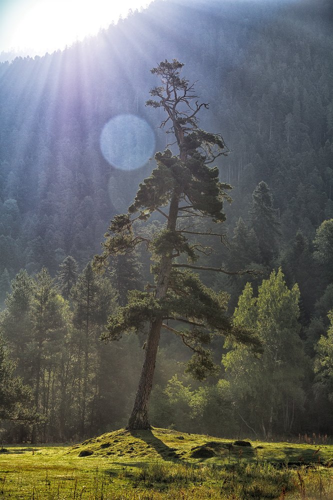 Photograph by Андрей Бычков