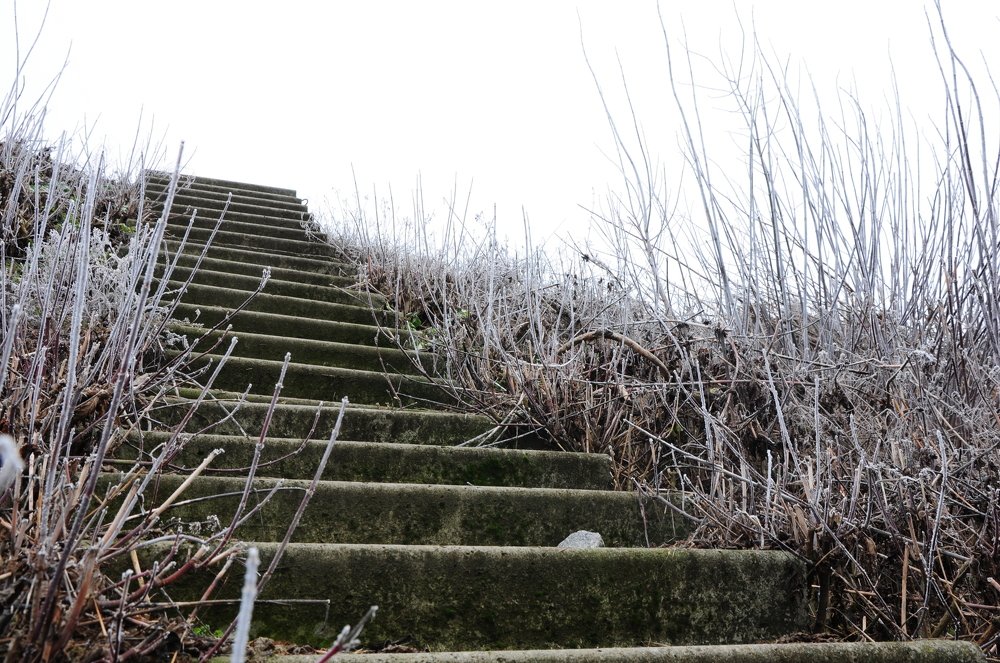 Photograph by Татьяна Маринич