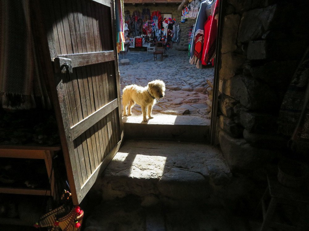 Photograph by Сергей Козинцев