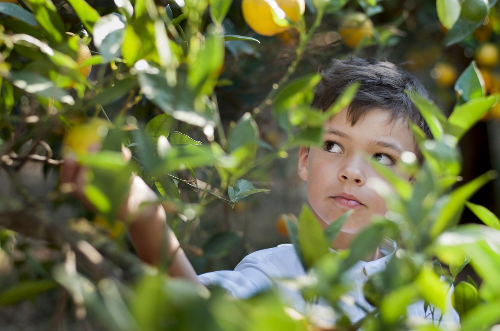 Photograph by Юлия Рябчук